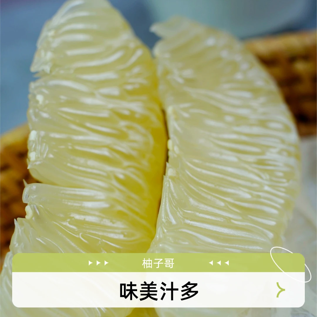 众尝冰糖柚果实，清甜爆汁