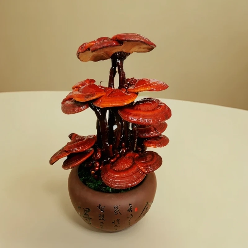 三层高端灵芝吉祥盆景办公室桌面茶桌书桌摆件净化空气中式经典