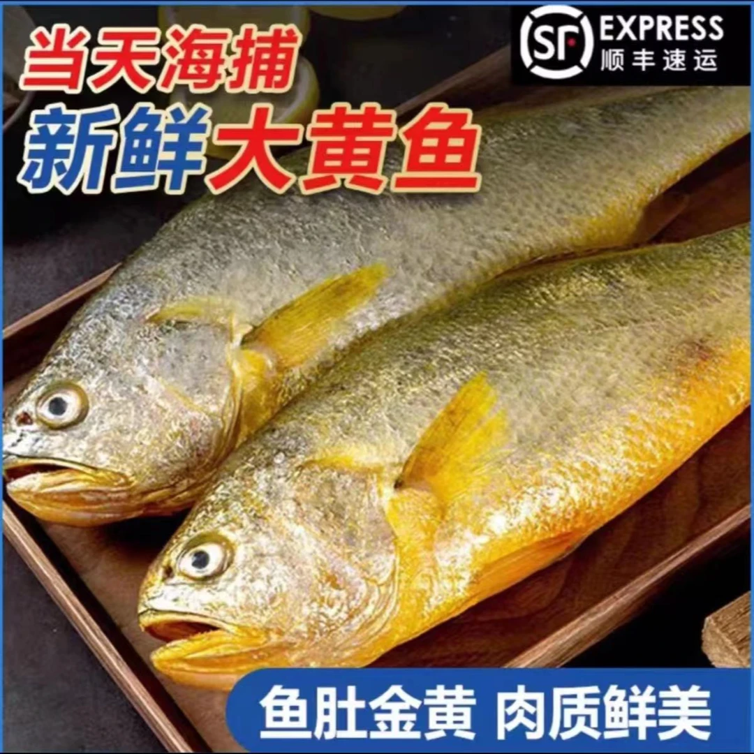 （顺丰包邮）野生海捕黄花鱼海鱼每条250g左右拍4发5条速冻海鱼生鲜