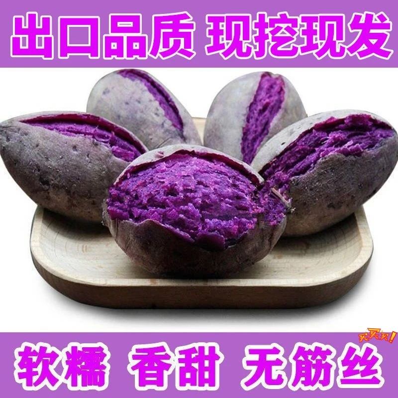 新鲜紫薯番薯紫罗兰紫薯1/10斤现挖沙地紫心蜜薯红薯地瓜烟薯采摘