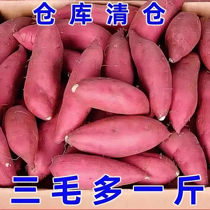 【抢购中】超甜沙地蜜薯净重1-10斤新鲜西瓜红黄心板栗薯地瓜番薯