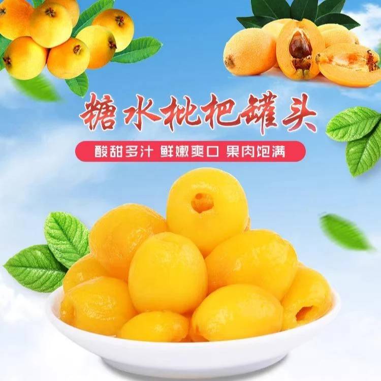 福建特产 2024年新鲜枇杷罐头 速食 酸甜 正宗即食零食鲜水果罐头