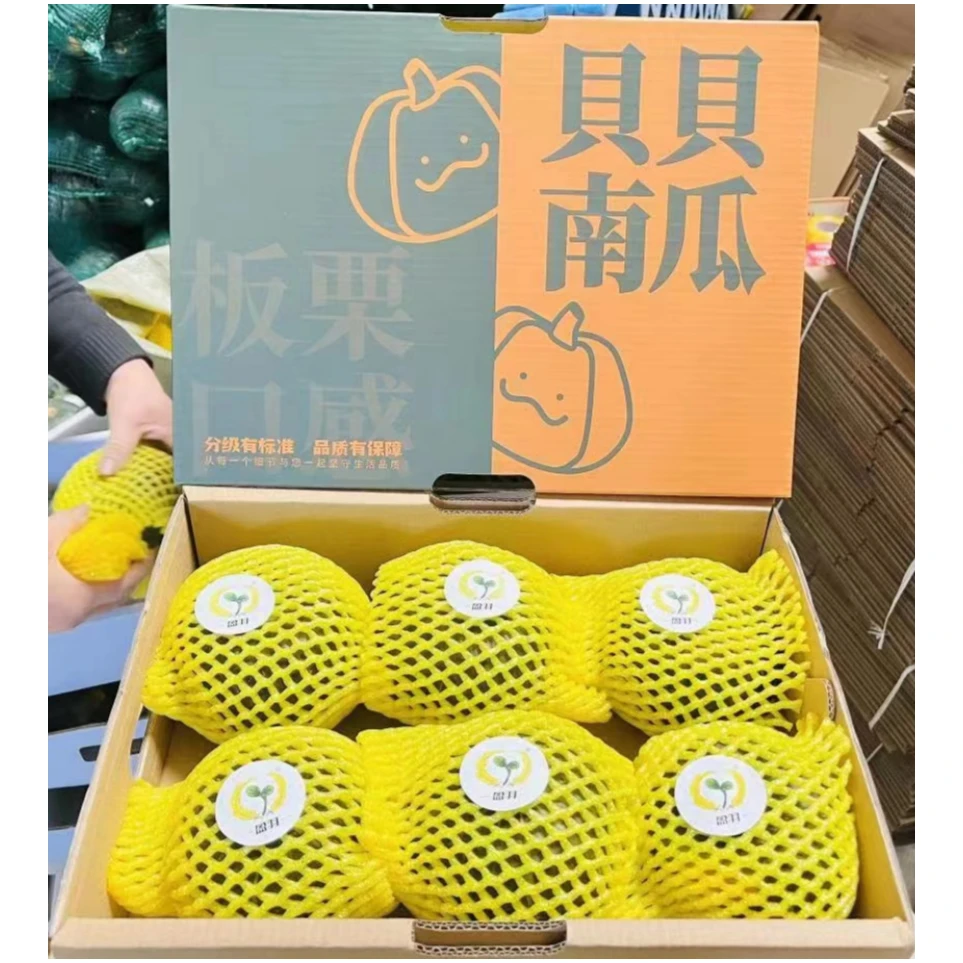 山东贝贝南瓜4.5斤礼盒6个装粉糯香甜应季蔬菜辅食代餐坏果包赔