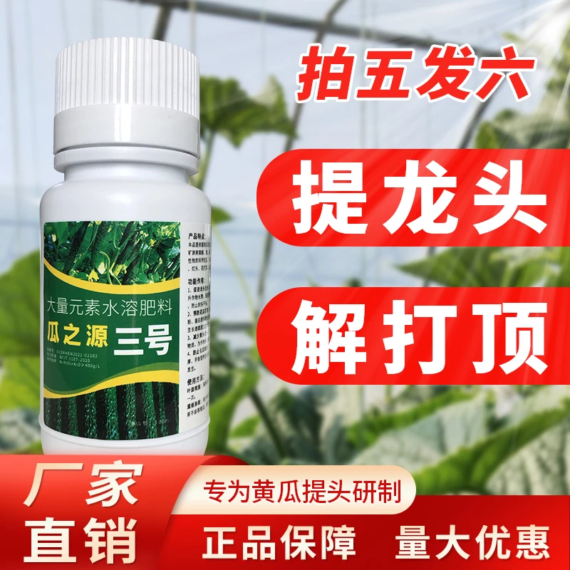 新型叶面肥含腐植酸黄瓜快速提龙头解药害冻害壮苗防止化瓜技术