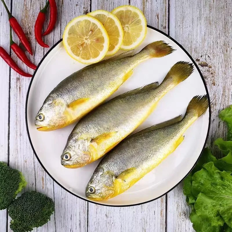 天然新鲜黄鱼/黄花鱼 4条/8条 200g-300g/条 鲜味清蒸营养低温