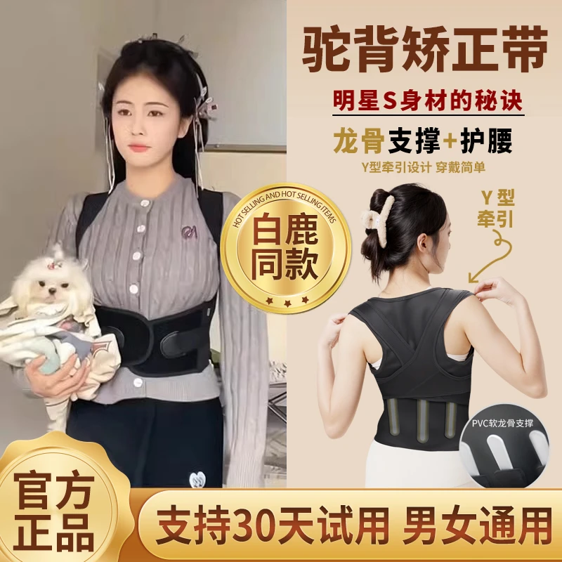 【白鹿同款】贝佳矫正驼背带龙骨支撑护腰带背部矫正成人专用开肩