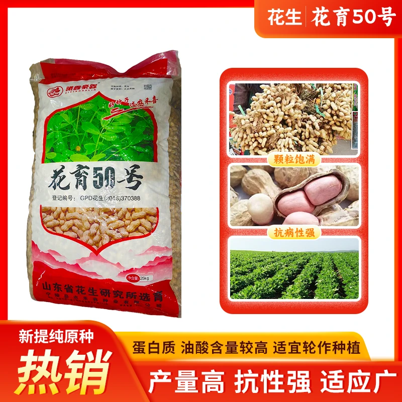 花育50花生种子人工选育精播种抗病耐旱皮薄过大颗粒饱满榨油率高