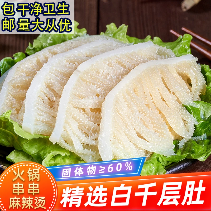 火锅毛肚白千层肚丝新鲜牛百叶牛肚批发精选串 固形物含量60%以上