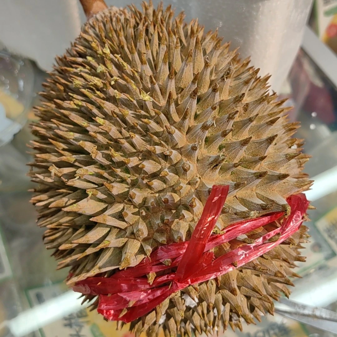 【一物一拍】猫山王榴莲38一斤