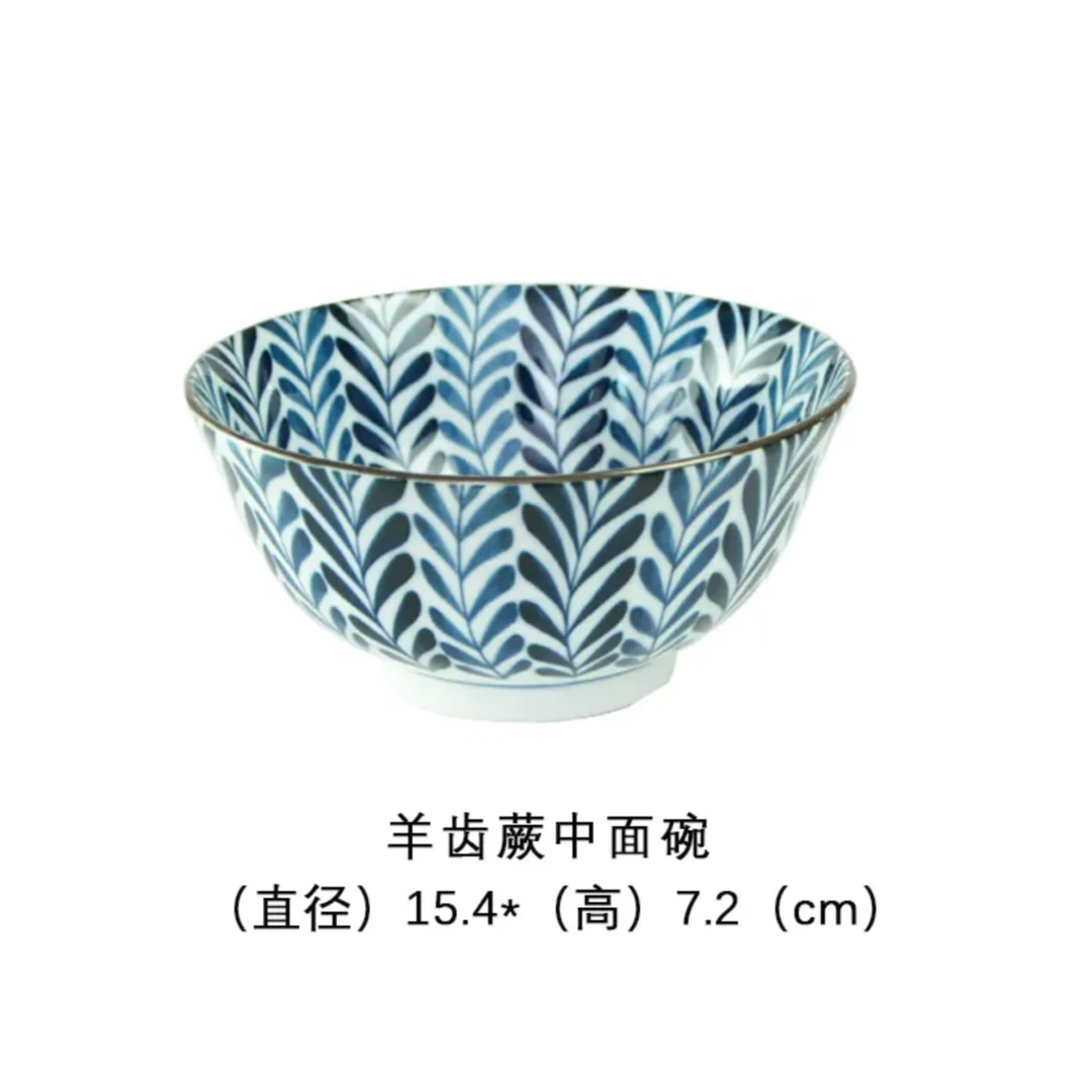 波佐见烧日本进口吃饭碗大碗陶瓷日式汤碗拉面碗内外羊齿蕨15cm