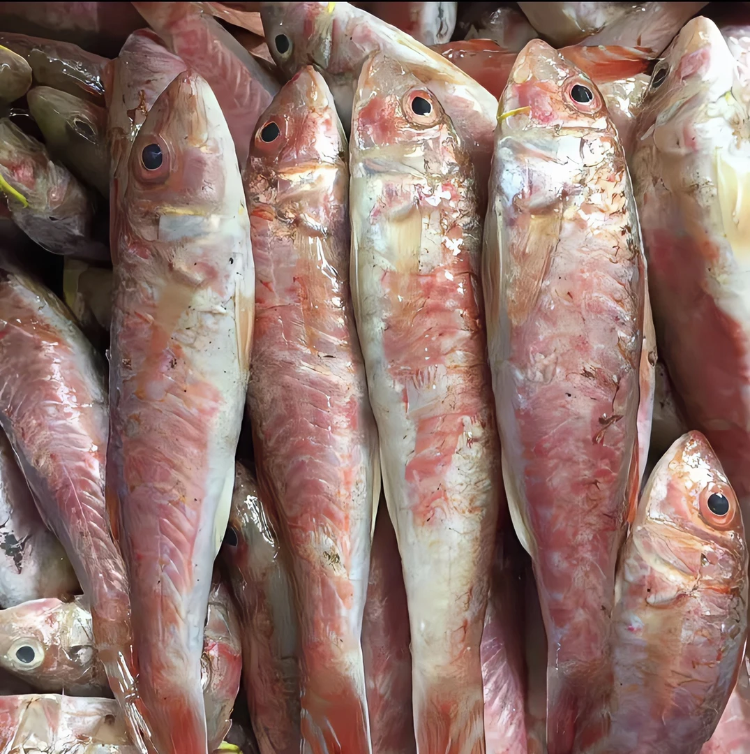 惠来神泉本港 红鱼 5斤
