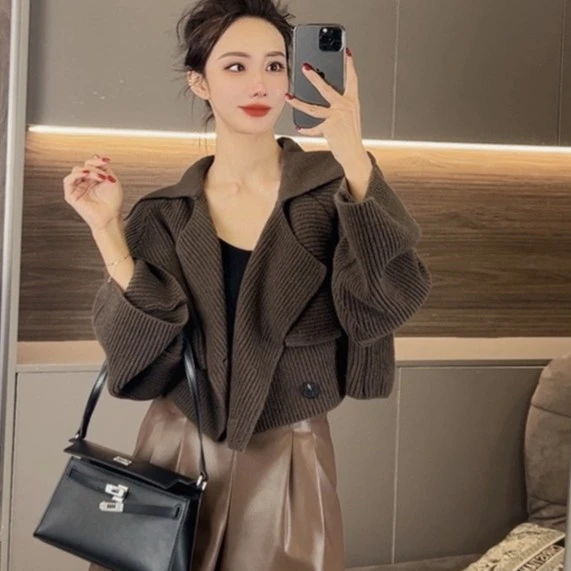 慵懒风氛围感翻领针织开衫女秋装气质复古长袖毛衣时尚休闲上衣潮