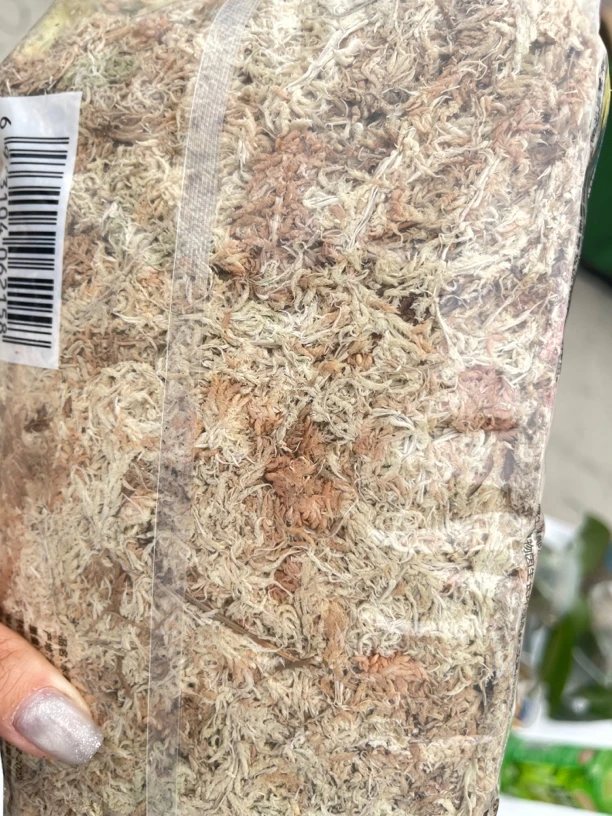 蝴蝶兰基地专用水苔，叶面肥和开花型肥料（满30包邮）