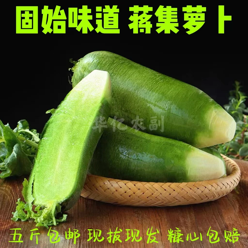 固始将集青萝卜 新鲜萝卜现拔现做萝卜干子 包邮发货