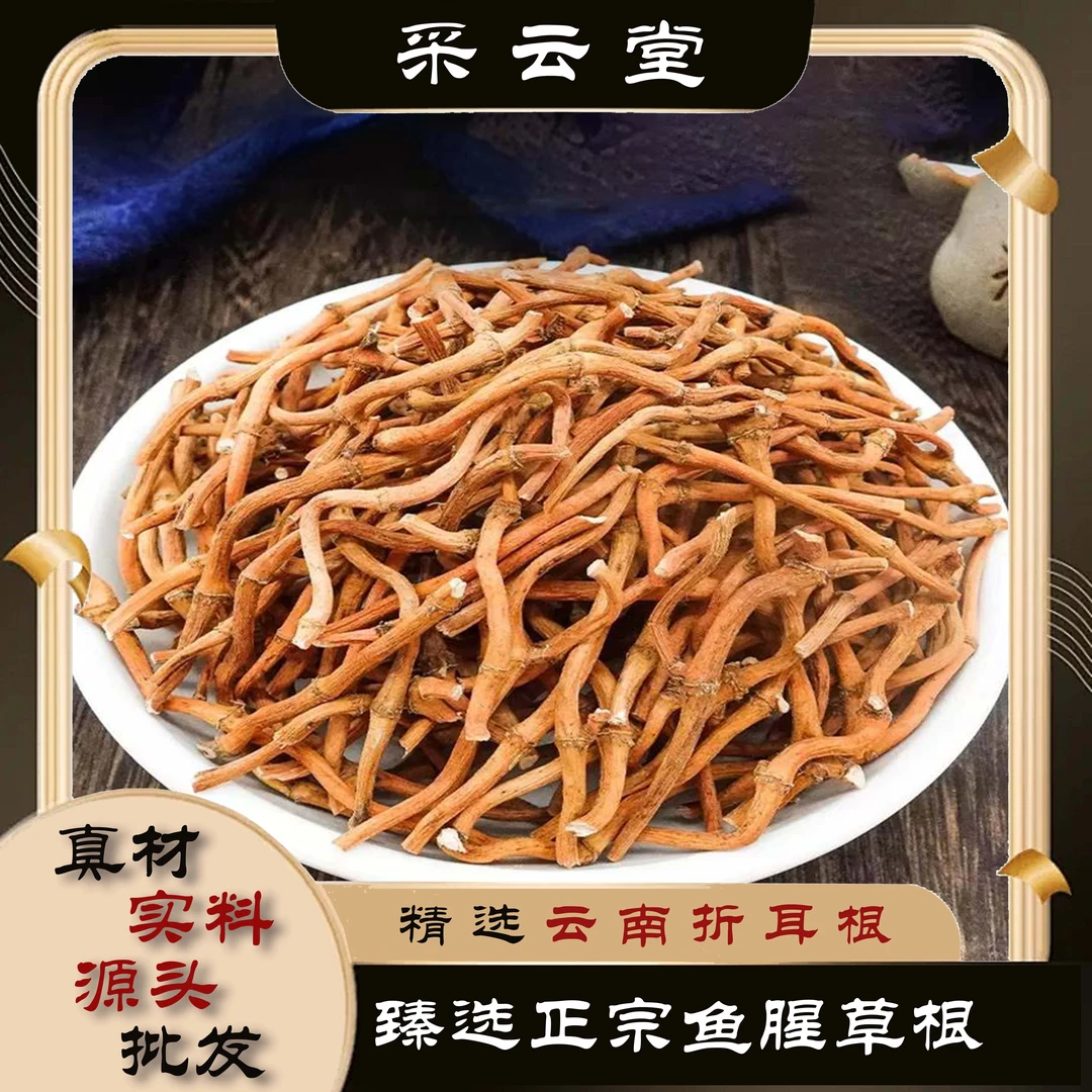 鱼腥草根云南农家自种新鲜折耳根新货叶子泡水干净鱼腥草