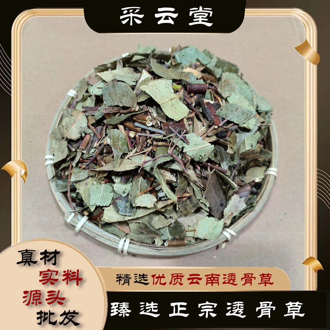 透骨草精选正品可磨透骨草粉高品质