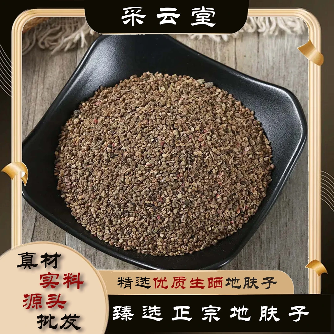 地肤子当季新鲜道地自然晾晒泡茶泡水喝地肤籽100g起购 另有银杏