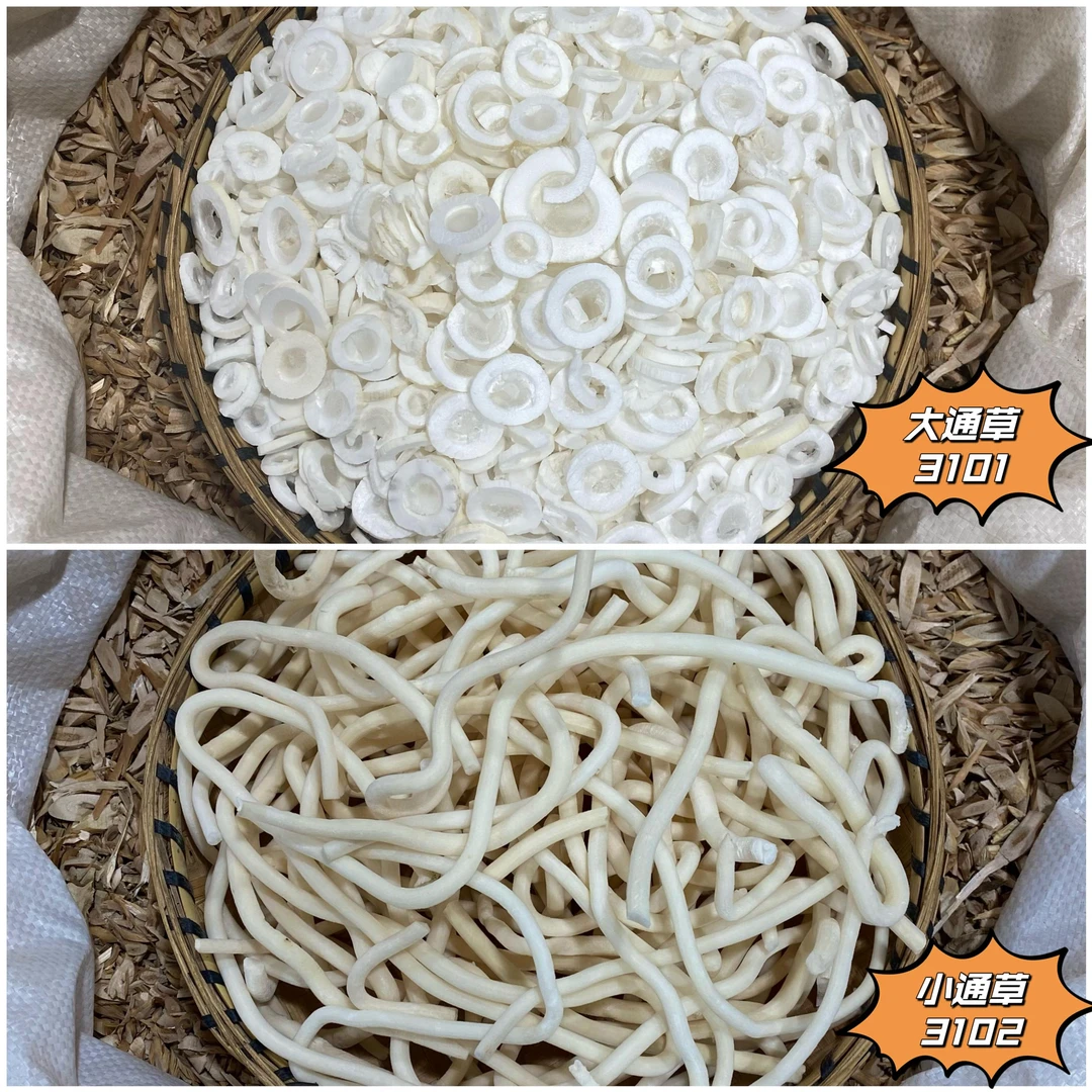 通草  大小规格都有净货无杂质100g起购 另有当归