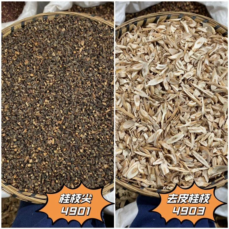 精品桂枝桂枝尖新货桂枝片产地直销净重100克起购无硫纯正优质品