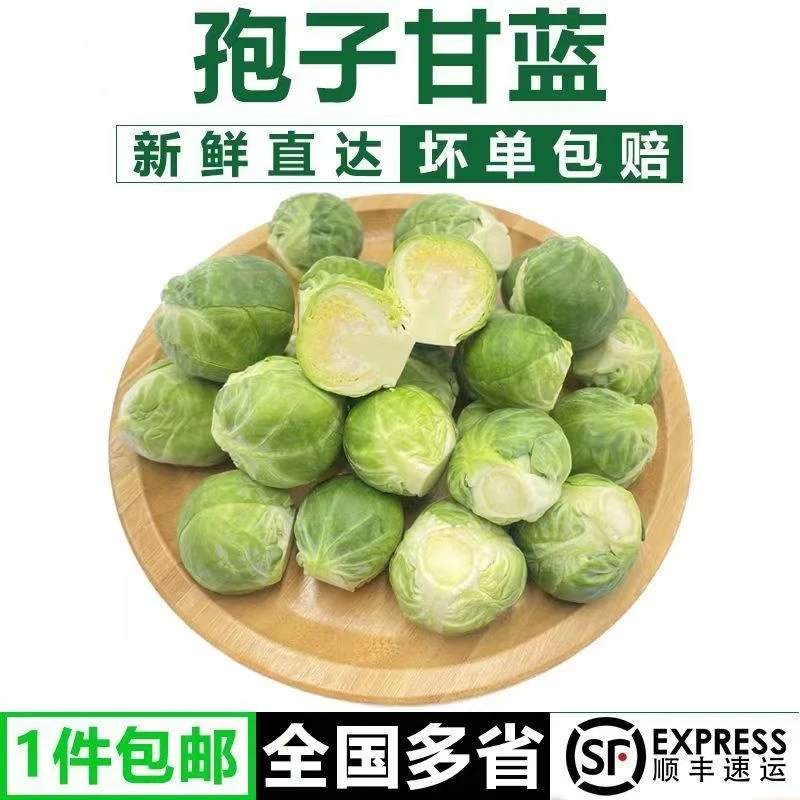 脆果粒【顺丰包邮】新鲜孢子甘蓝清脆1斤2斤美味爽口抱子甘蓝  包赔