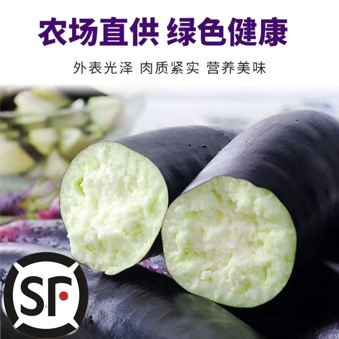 东北紫茄子陆地紫茄子蒜茄子酱茄子3斤包邮新鲜采摘鲜嫩