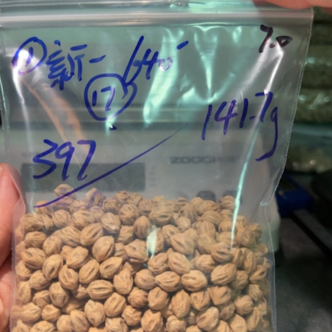 【闪购商品】柏香籽/百香籽吊坠新*新一 7.0 141g