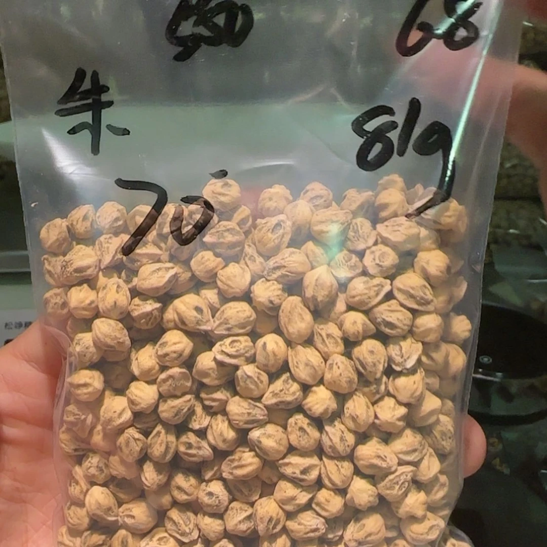 【闪购商品】柏香籽/百香籽吊坠?***?6.8 81g