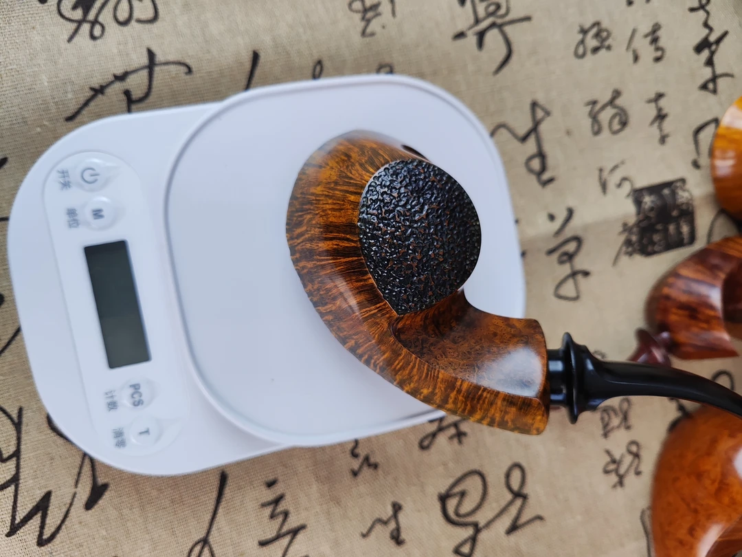 大瘤皮河豚（黄金对比染色，黑硫化橡胶嘴）