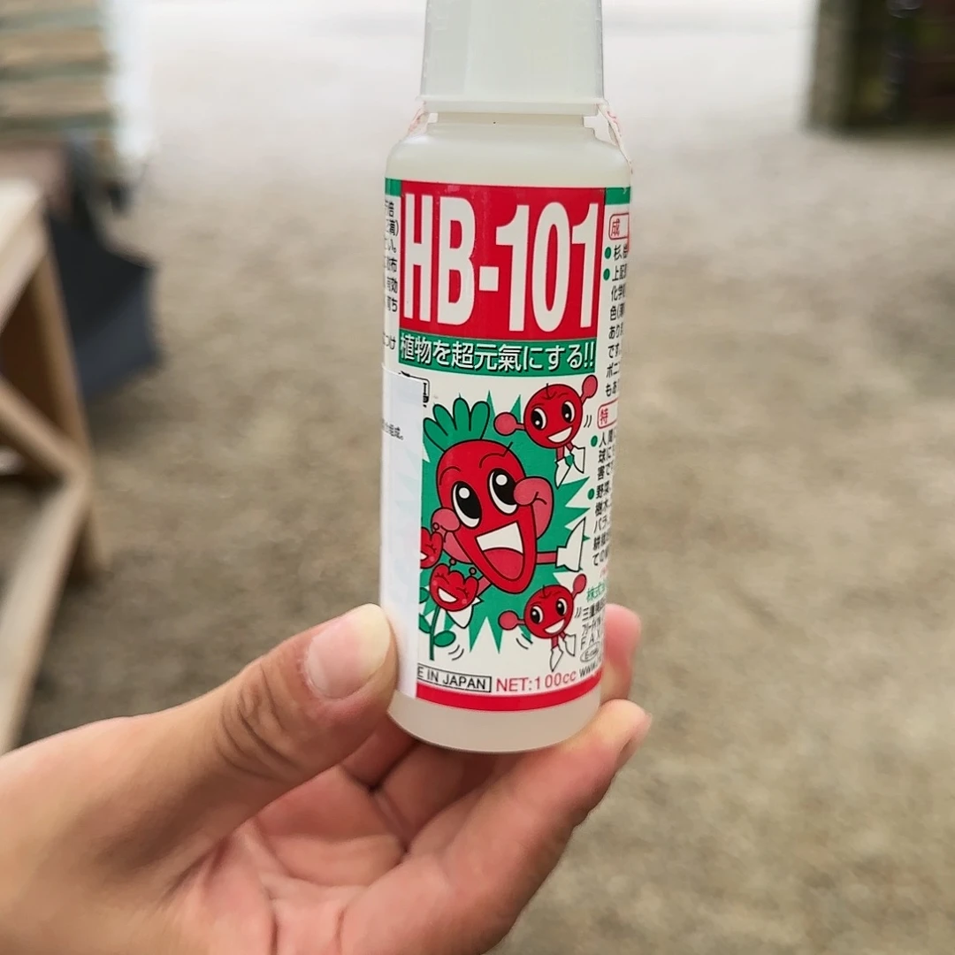 181塑料福*佳盆景123456