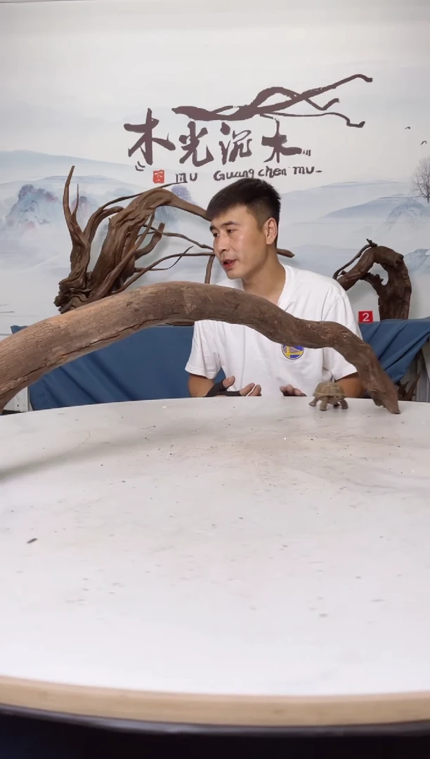 【闪购商品】A878木光沉木木光沉木