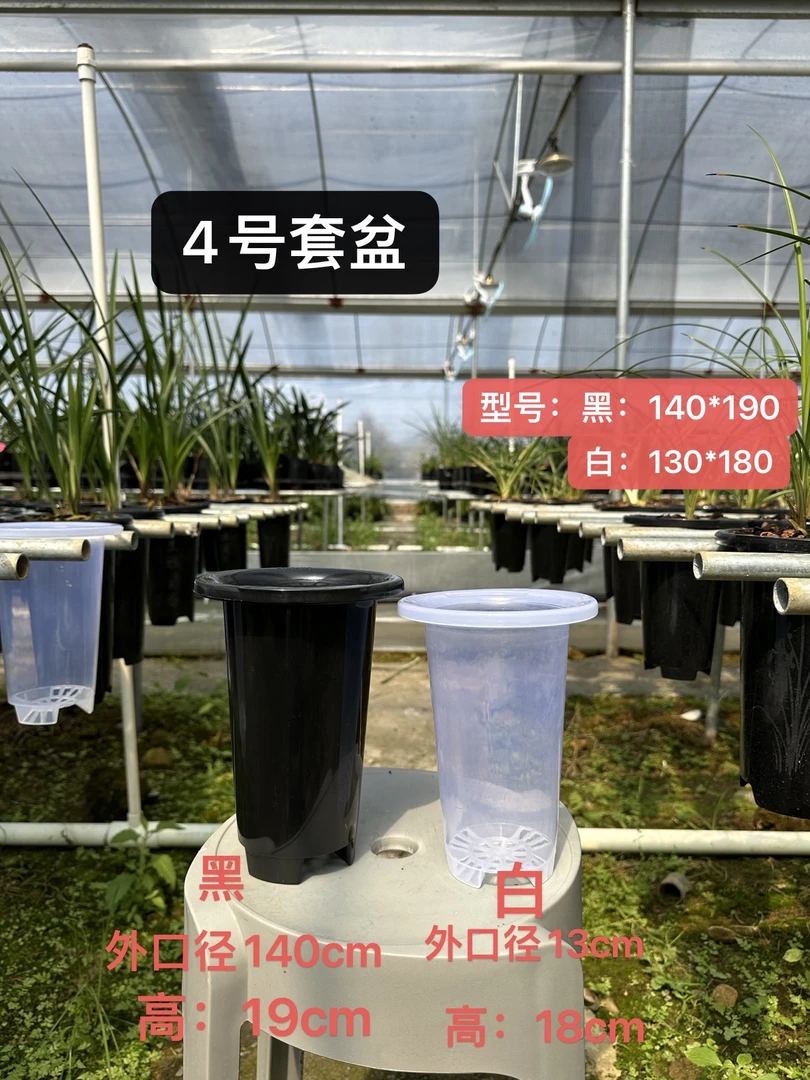 兰花专用套盆黑+白透明兰花套盆