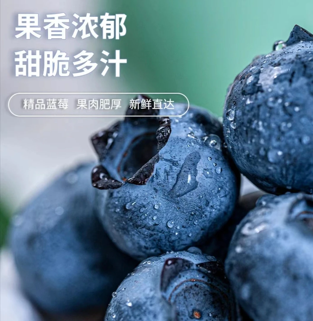 【包邮】超大蓝莓鲜果大果产地直发新鲜特大蓝莓蓝莓新鲜蓝莓大果