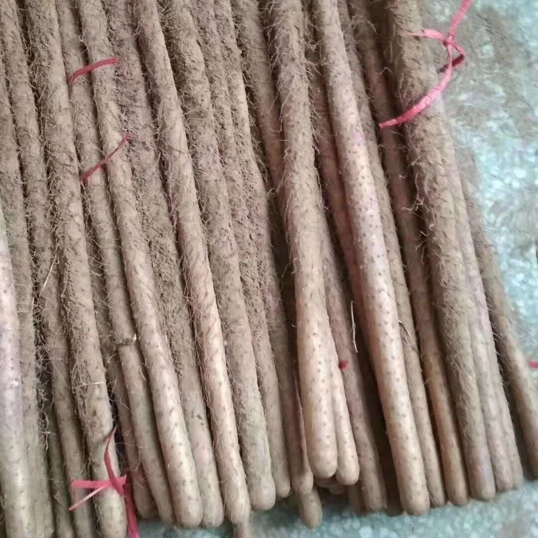 铁棍山药新鲜粉糯香甜营养现挖小白嘴垆土淮山药30-50cm