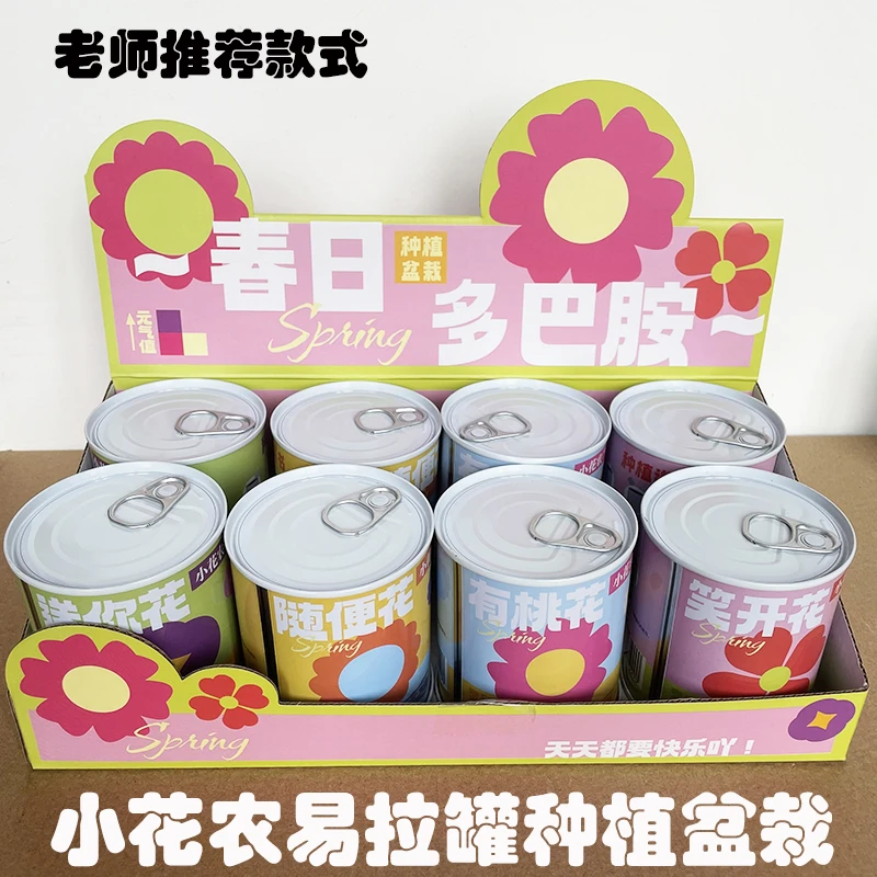 小花农网红祝福罐头植物盆栽儿童diy种植办公室绿植创意礼物好养8