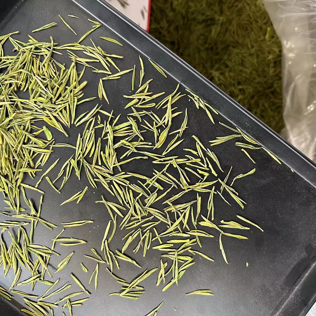 【不计成本冲单量】昆铜小芽 新茶原产地安吉高山白茶 兰花香