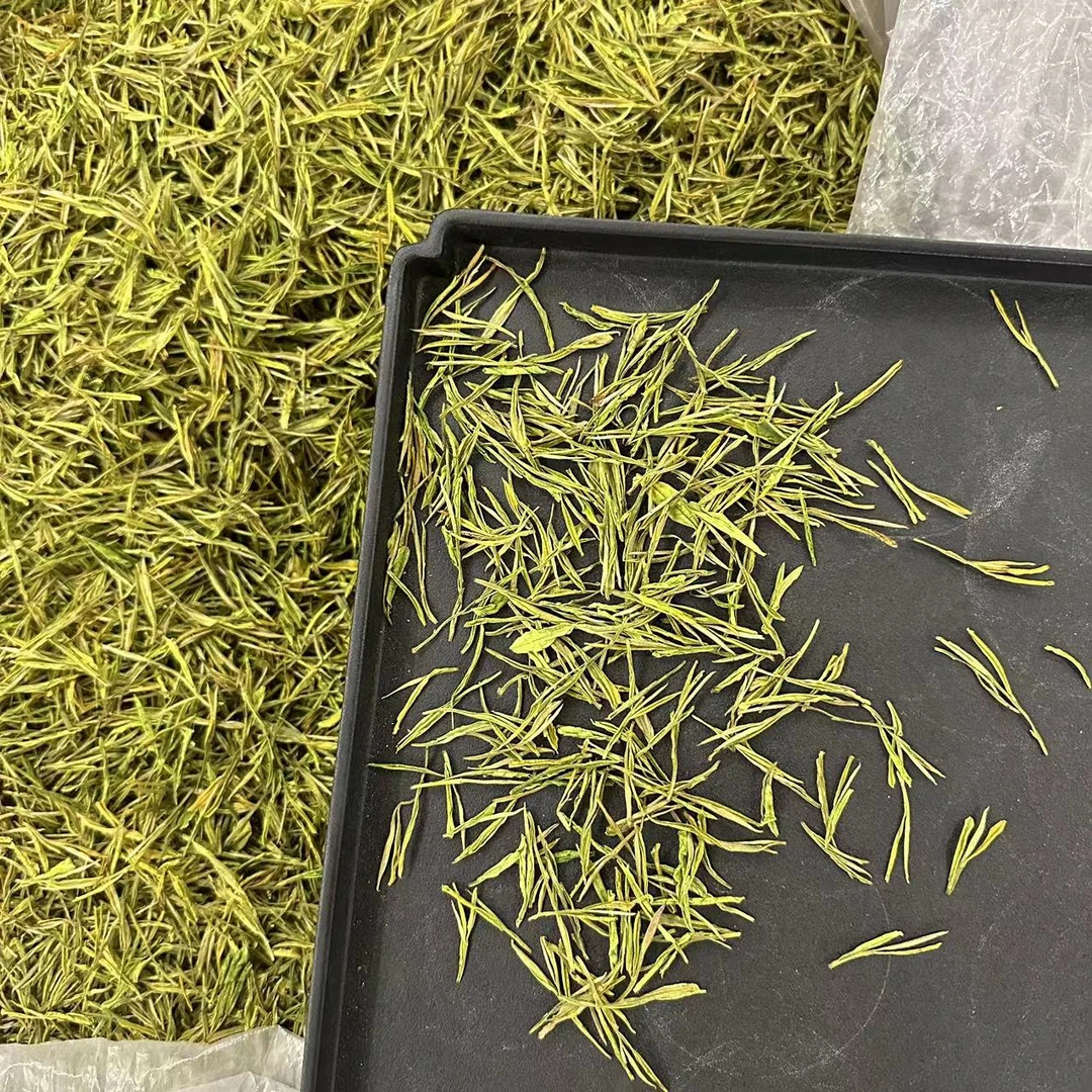 【甜丝丝】口粮奶白黄金芽 浓郁奶香 口味鲜爽