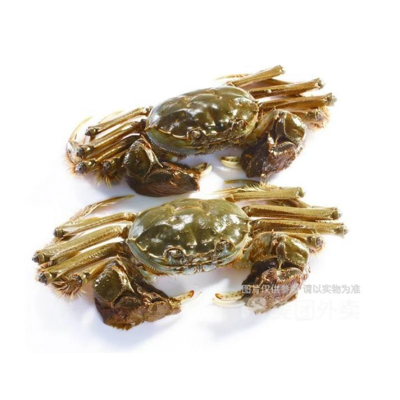 鲜活六月黄大闸蟹1.8-2.2两5只（公母随机）约500g包活到家