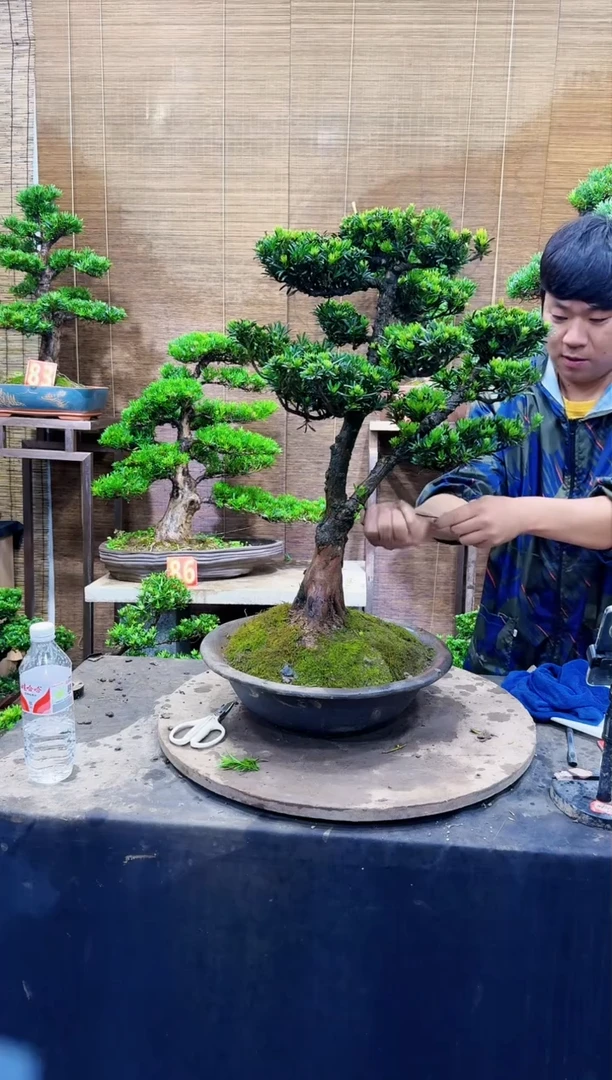 【闪购商品】1111111