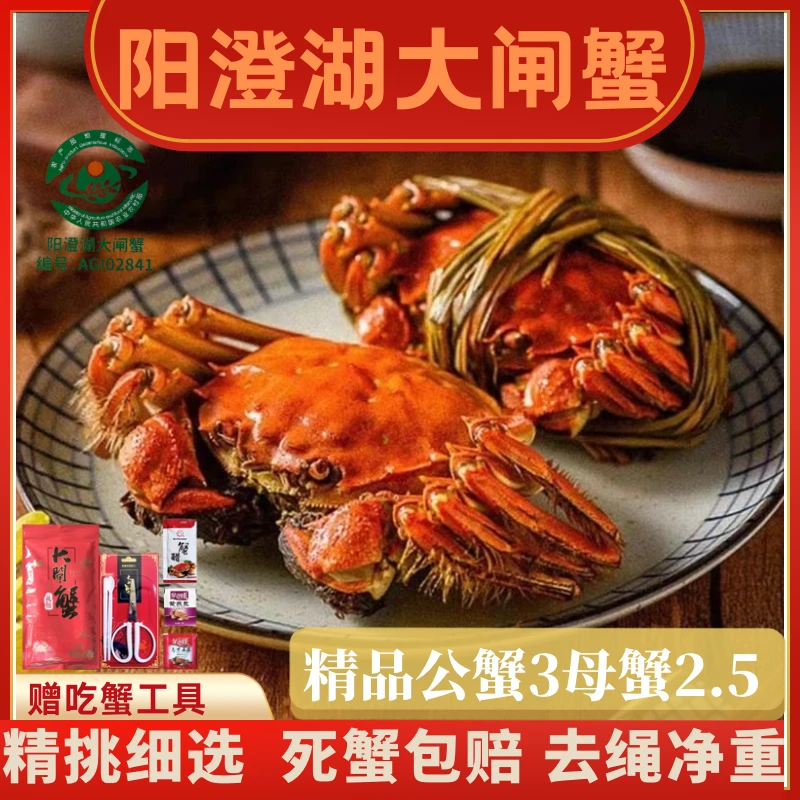 【活蟹】阳澄湖大闸蟹高标准塘养公3母2.5两6+2到手8只装顺丰发货zz