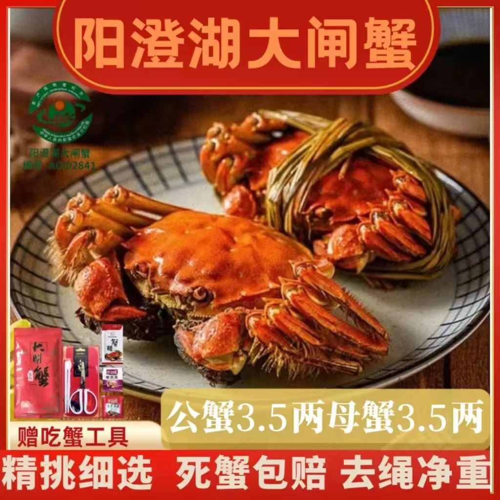 【活蟹】阳澄湖大闸蟹高标准塘养公蟹3.5两+母蟹3.5两4/5对顺丰发货