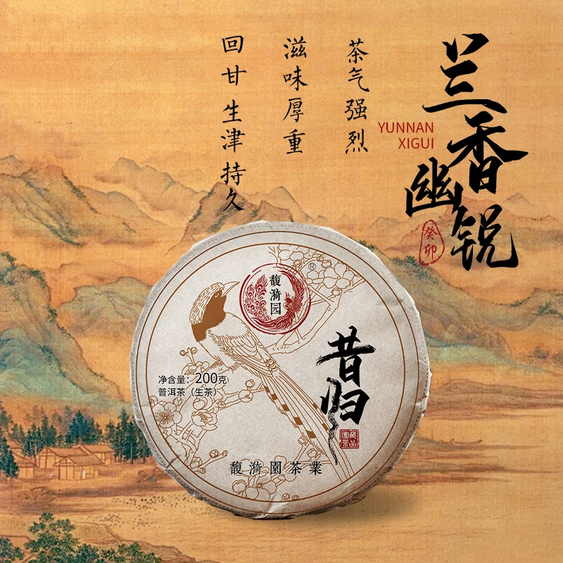 馥漪园【头春头采】 2023年昔归团茶（第三代）普洱生茶200克（礼盒版）