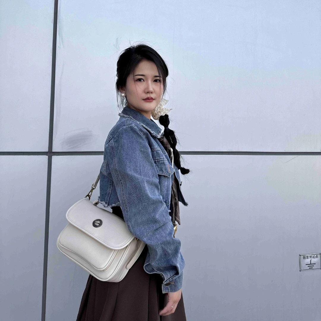 【丁老板严选女包】D181-D210号女士腋下单肩斜跨轻奢潮流肩包真皮