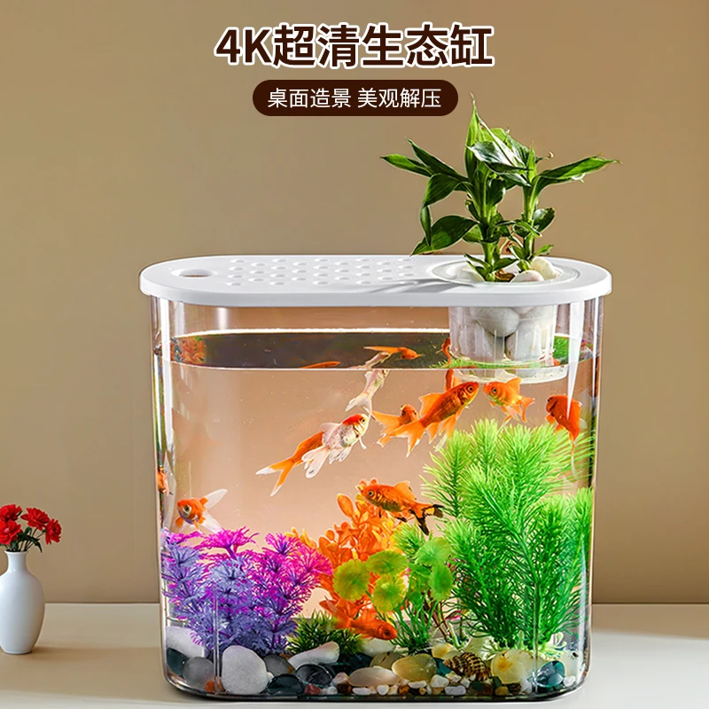 桌面鱼缸2024新款微景观家用客厅金鱼斗鱼小型观赏鱼缸塑料裸缸