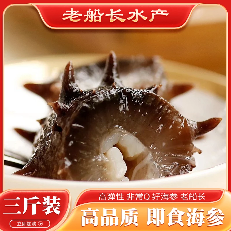 春参福利【3斤/5斤】大连底播鲜食海参高品质营养肉质肥厚辽参精选
