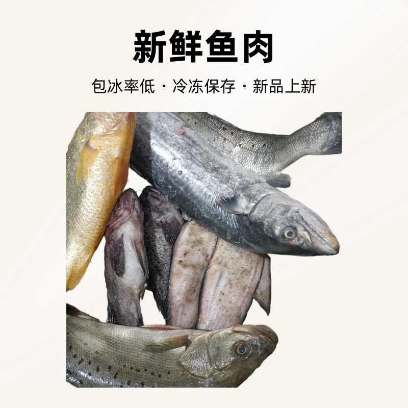 鲜鱼自选专用连接坏了包退。晚发理赔。