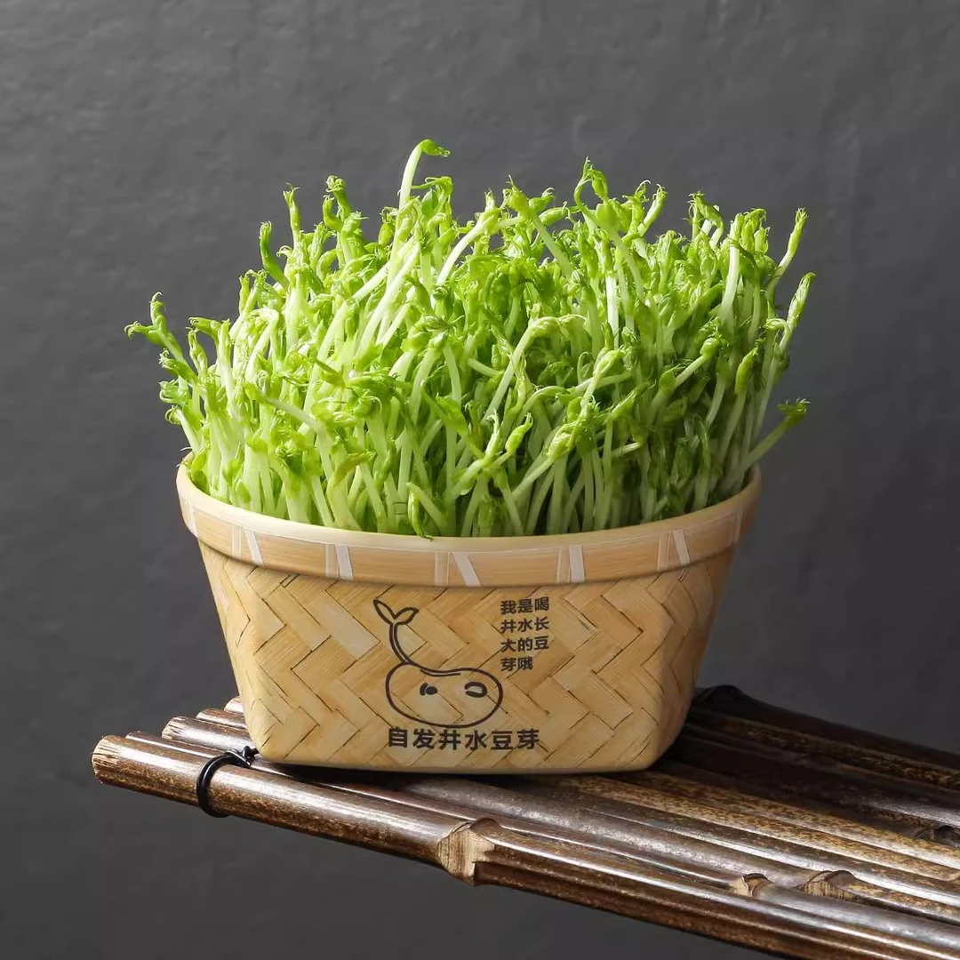 密胺餐具仿瓷火锅店竹木纹四方蔬菜桶特色创意井水豆芽盒子蔬菜桶