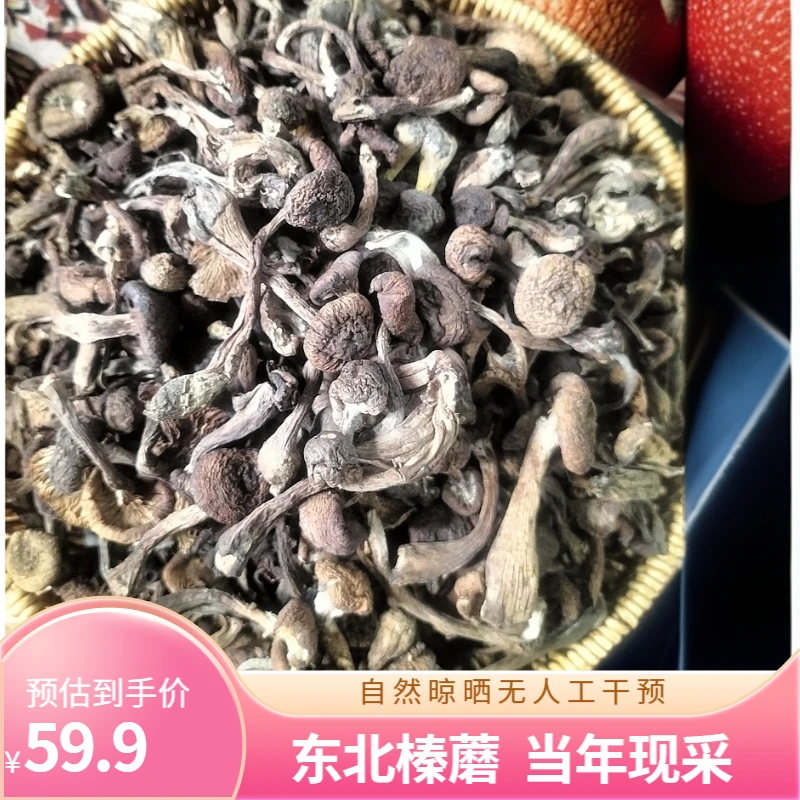 东北蘑菇晒干榛蘑当年现采