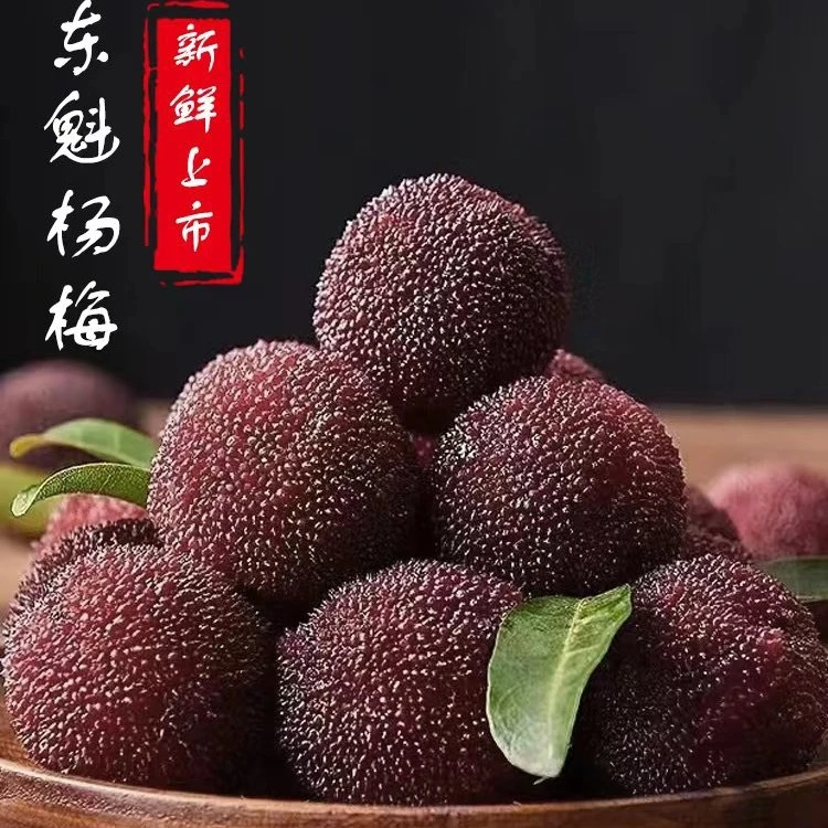 【尝鲜入门】6A甄选精品仙居东魁杨梅新鲜礼盒包装顺丰冷藏3.5斤