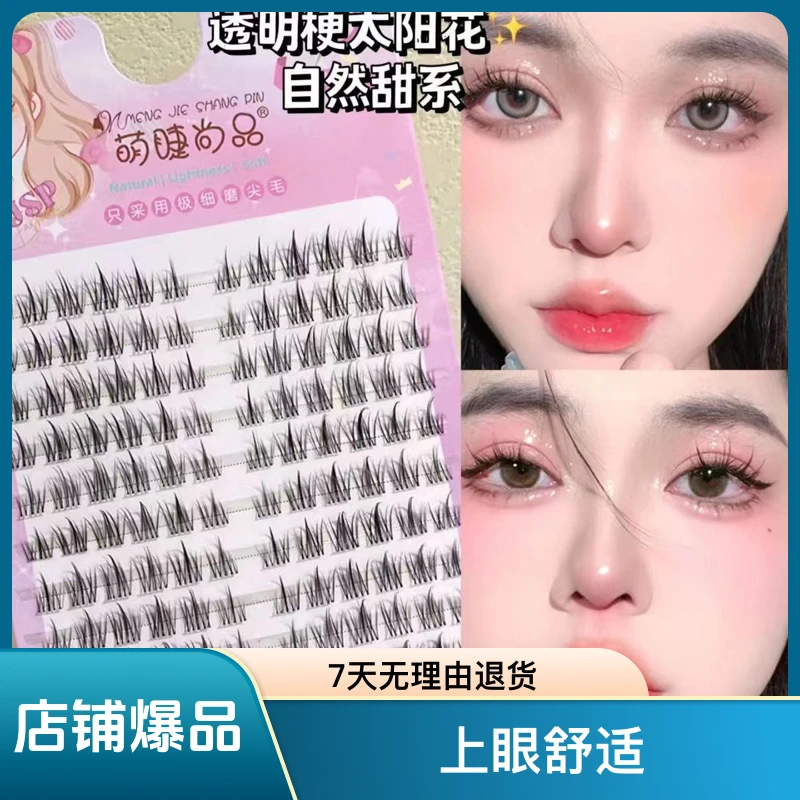 120朵纯欲太阳花~懒人三部曲透明梗恶魔假睫毛单簇新手细梗多规格