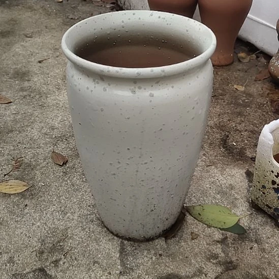 【闪购商品】紫砂花盆口18高32一个